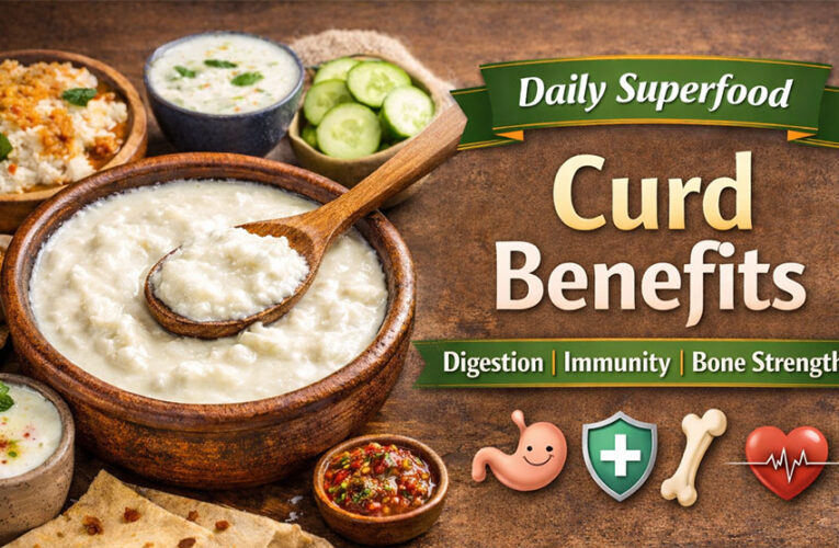 தயிர் (Curd / Thayir) தினமும் சாப்பிட்டால் என்ன நன்மை?