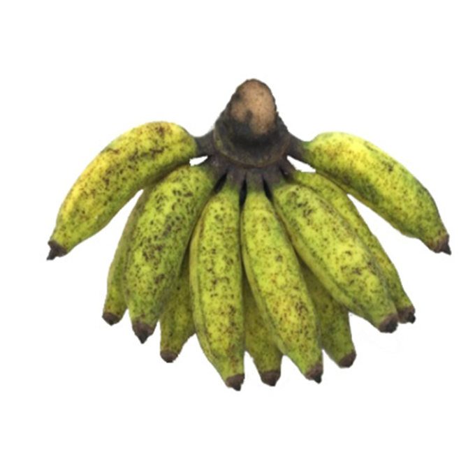 Hill Banana Kodaikanal