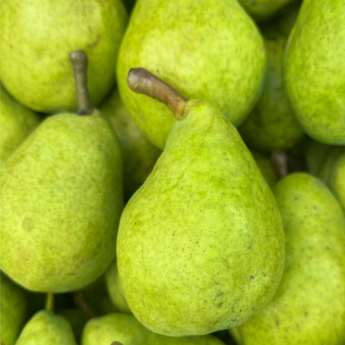 pears-fruits-in-kodaikanal