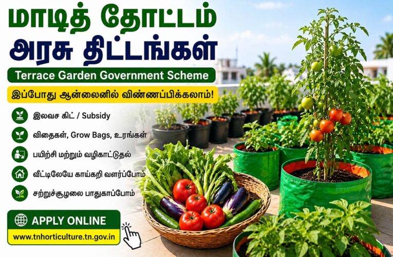 மாடித் தோட்டம் அரசு இலவச திட்டங்கள் & விண்ணப்பிக்கும் முறை