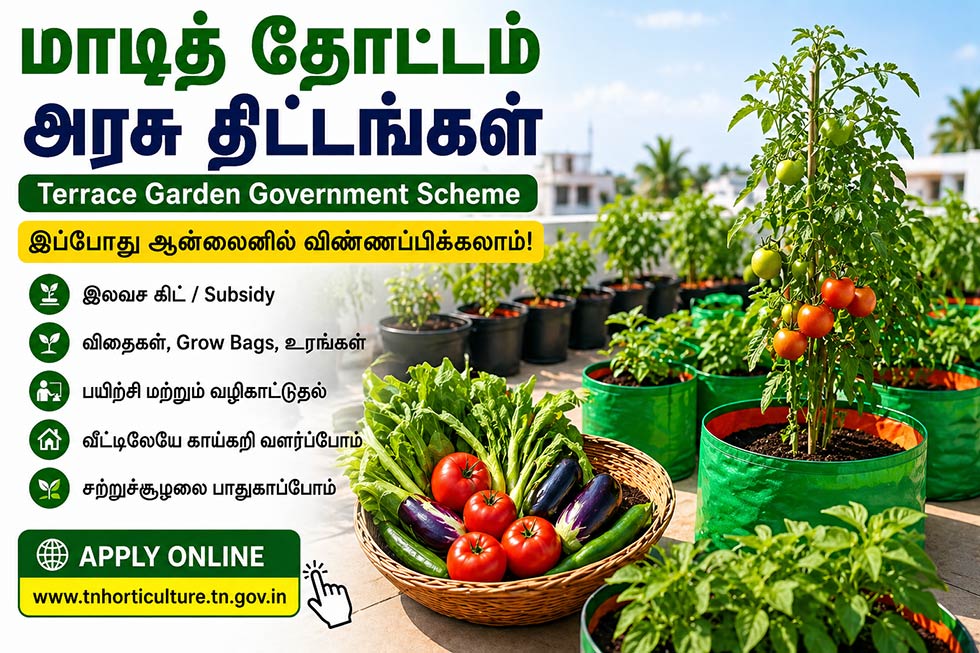 மாடித் தோட்ட அரசு திட்டம் தமிழ்நாடு apply online terrace garden scheme
