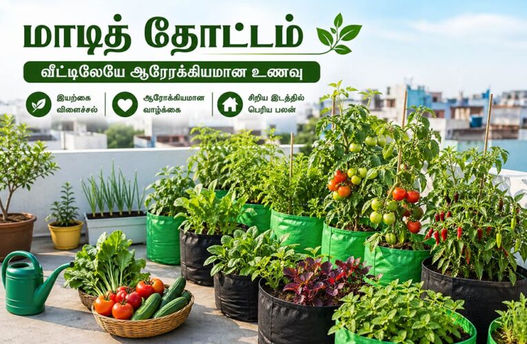 மாடித் தோட்டம் அமைப்பது எப்படி?