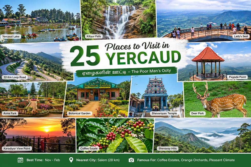 Yercaud lake boating view